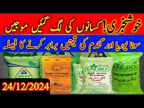 Sona Urea DAP Engro Urea and sarsabz Urea khaad price|Today fertilizer price in Pakistan|wheat price