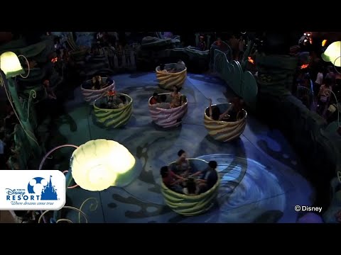 【公式】ワールプール / The Whirlpool | 東京ディズニーシー/Tokyo DisneySea