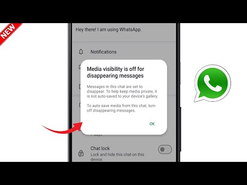 Whatsapp Media visibility is off for Disappearing messages | Whatsapp Media Not Showing in Gallery