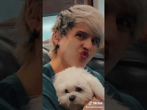 ERICK BRIAN VÍA TIKTOK