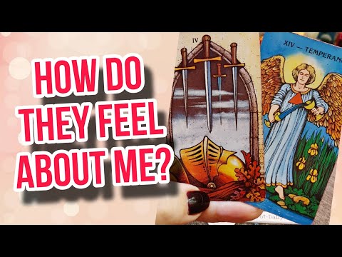 How do they feel about you right now? | Timeless Tarot Card Reading