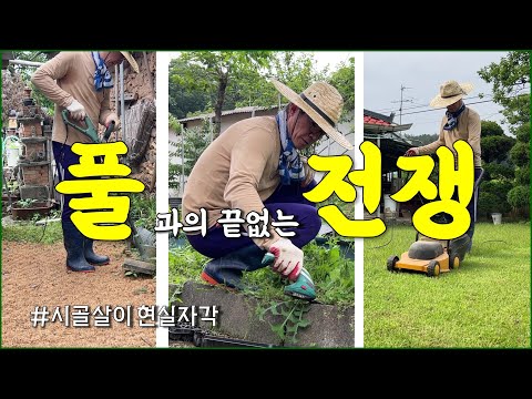 시골살이 현실! 끝없는 풀과의 전쟁 (잔디, 잡초 등) / countryside