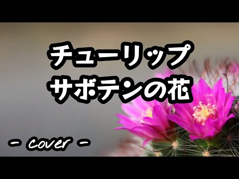 サボテンの花／チューリップ  歌ってみた。