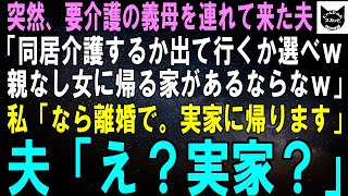 【スカッとする話】ある日突然、要介護の義母を連れて来た夫「同居介護するか出て行くか選べｗ親なし女に帰る家があるならなｗ」私「なら離婚で。実家に帰ります」夫「え？実家？」【修羅場】