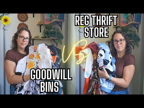 Goodwill Bins VS Regular Thrift Store-Which Haul Is Better? (Full Time Reselling 2024)