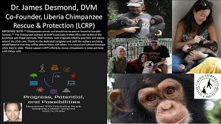 Dr James Desmond, Co-Founder, Liberia Chimpanzee Rescue & Protection - Zoonotic Disease Surveillance