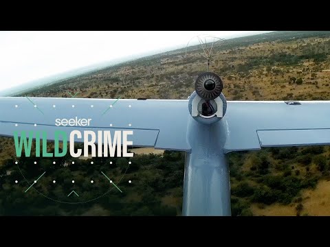 How Drones Are Fighting Poaching in South Africa