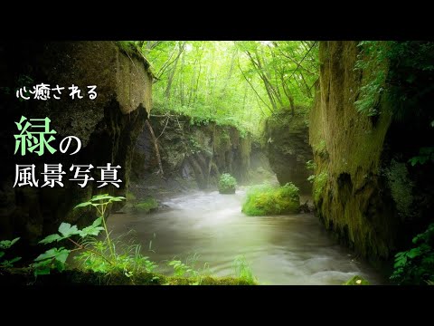 風景写真 (日本の風景、自然)