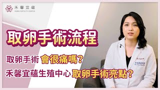 取卵手術怎麼進行？會痛嗎？手術前後的注意事項？｜廖娸鈞院長｜禾馨宜蘊生殖中心