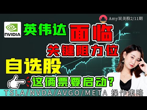 【美股盘前展望】💥注意，英伟达面临关键阻力位｜💥自选股这两只票要启动了？｜#投資  #TSLA#nvda#amd#pltr #meta#Amzn#美股#股票#纳指#Amy说美股#mstr #avgo