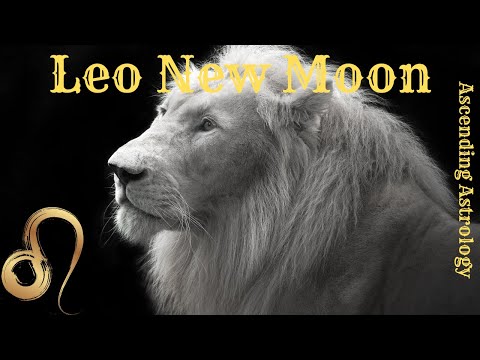 Leo New Moon #2024