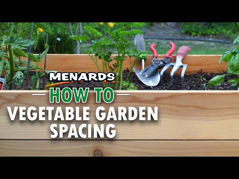 How To Space a Vegetable Garden | Menards