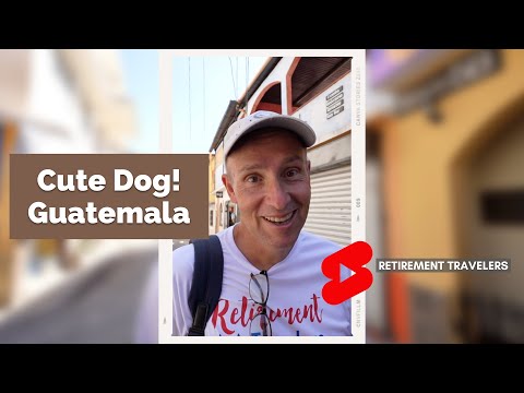 Retirement Travelers: SCARY DOG | Lake Atitlan Guatemala #shorts