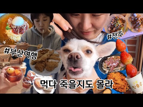 LLOG) 애견동반 #부산여행 현지인 맛집 추천 정관 원카츠 | 아울렛 | 모모스커피 | 밀면 | 멕시코음식 #전주 맛집 두거리우신탕