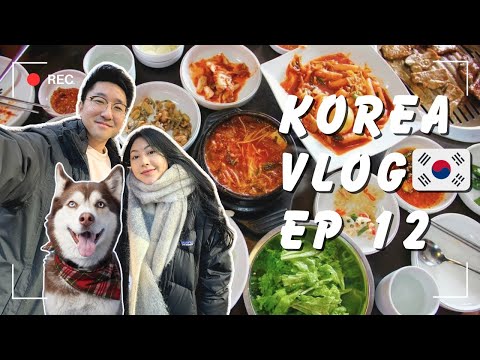 SEOUL TRAVEL VLOG | How to eat in Korea on a budget (delicious food)