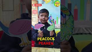 Kid Explains: Difference Between Peacock and Peahen | Fun Science Activity #scienceforkids #learning