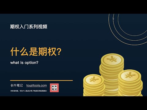 （第1期）前言：什么是期权？（上）新手必看 期权入门介绍视频-期权基本定义理解 what is option 什么是看涨期权 看跌期权