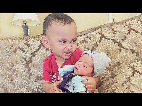 Unforgettable Toddler Meets Newborn Moments Caught on Camera