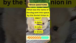 Can You Solve This Dog Trivia? 🐾 Test Your Knowledge! #shorts  #puzzlechallenge #facts #quiz