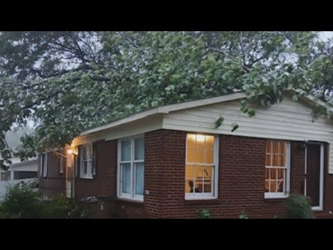 Tree on a house you rent? Your landlord may still be able to charge you full rent | WSOC-TV