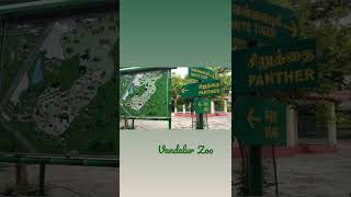 Vandalur zoo #chennai #vandaloor #zoo #chennai #kids #kidsouting #small tour #outing