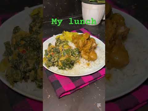 බඩේ පනුවෝ දගලයි බත් පිගාන දැක්කාම😋#mylunchplate#short