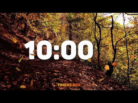 10 Minute Autumn Forest Timer 🍂 Relaxation and Study Focus