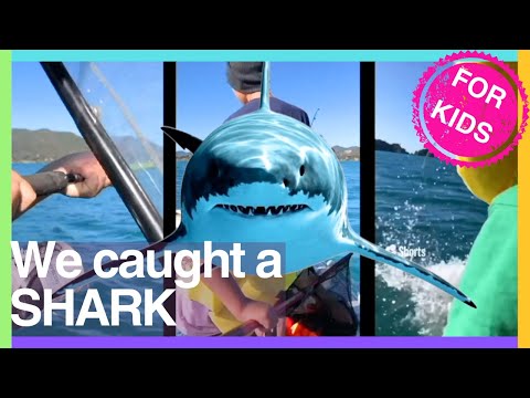 FISHING for Kids🎣 Learn about Fishing for Kids🎏 Fishing videos compilation #fishingforkids