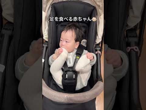 ベビーカーに乗ると足を食べる赤ちゃん👶🏻#赤ちゃん #赤ちゃんのいる生活 #かわいい #日韓ハーフ #生後7ヶ月#아기영상