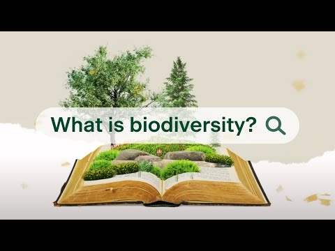 What does biodiversity mean?