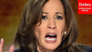 'I Don't Think You Have A Future In Politics': GOP Consultant Has Blunt Message For Kamala Harris