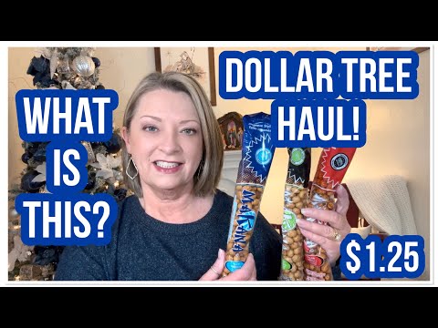 DOLLAR TREE HAUL | WHAT IS THIS | $1.25 | WOW | DT NEVER DISAPPOINTS😁 #haul #dollartree