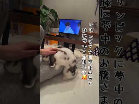 #うさぎのいる暮らし #うさぎと暮らす #bunny #40代