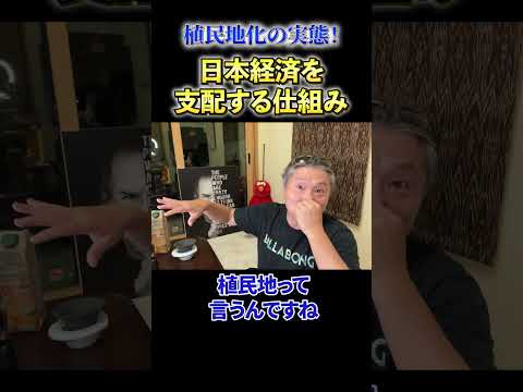 【必見】《植民地化の実態！》日本経済を支配する仕組み