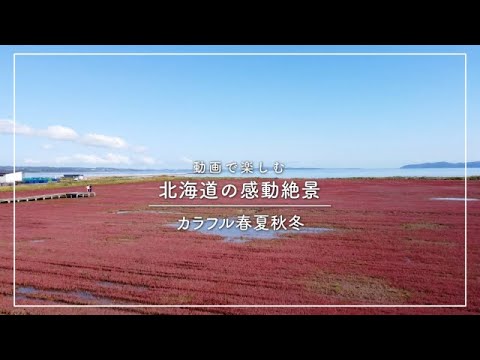 【るるぶ北海道23】北海道で感動！色とりどりのカラフル春夏秋冬