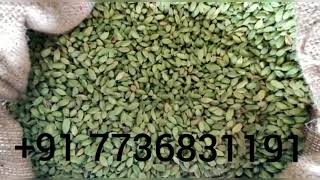 Cardamom From Kerala || Wholesale Price || Any Quantity Available