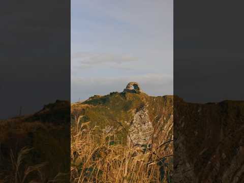 Cruggleton Castle on the Machars coast #shorts #castle