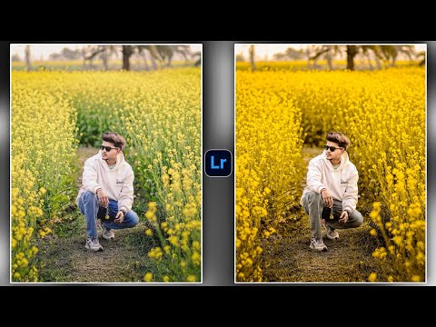 Photo Editing In Lightroom | LR Yellow Tone Photo Editing