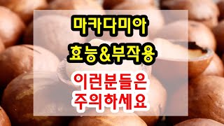 마카다미아 효능과 부작용 잘 알고 드셔야해요~