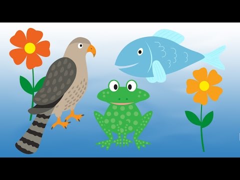 The Water Song - Little Blue Globe Band - a lullaby for babies, youngsters, and grown-ups