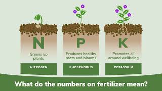 NPK Explained