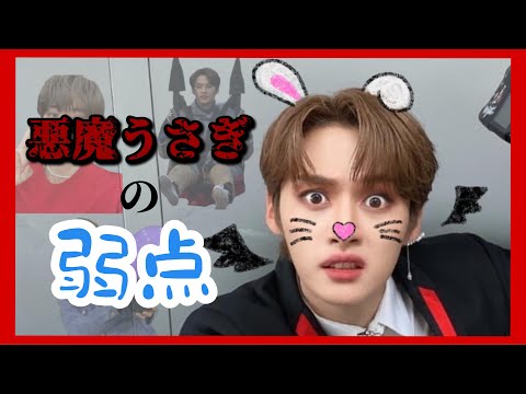 【StrayKids】悪魔うさぎの弱点👿🐰