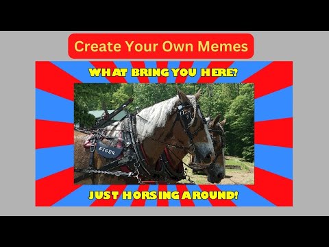 Everything You Wanted to Know About how to create memes for social media