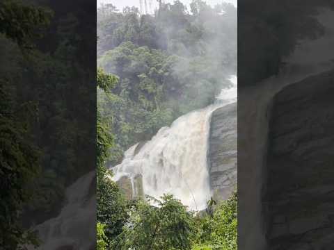 WATER FALLS IN MUNNAR AMAZING VIEW @LPNVLOGS #LPNVLOGS #munnar #munnartour #waterfall #munnarfalls