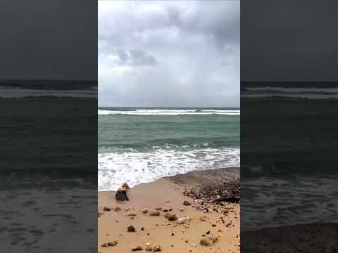 Nariyal Bagicha beach in Andaman Nicobar 🏖️🏝️ #beach #andaman #travel #venkitraveldiary #shorts