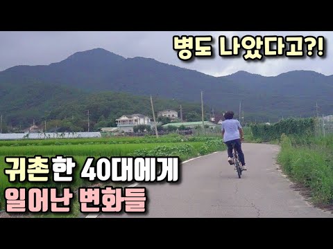 전원생활 1년, 평범한 40대에게 일어난 기적같은 변화들, 귀촌 리얼 장점/낭만아빠