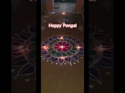 #pongalkolam #pongalrangoli #pongal #thaipongalkolam #colourfulrangolis #