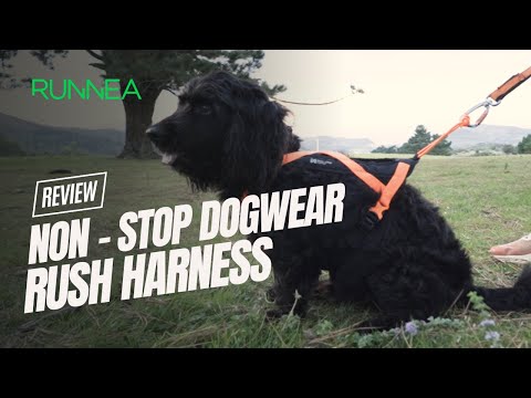 El nuevo arnés Non-stop Dogwear Rush Harness: Seguridad y confort en canicross para tí y tu perro