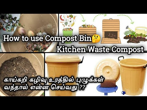 Maadi thottam kitchen waste Compost 🏡how to use Compost Bin🤔உரத்தில் புழுக்கள் வந்தால் என்ன செய்வது