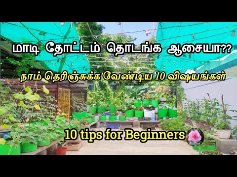 மாடித் தோட்டம் தொடங்குவது எப்படி?10 tips for terrace garden beginners/zero budget